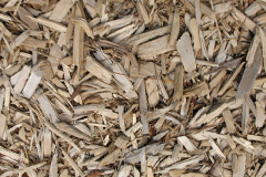 biomass boilers Artikelly